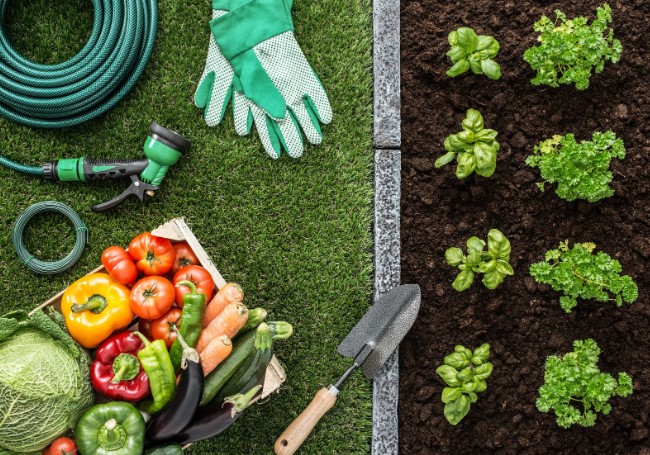 Модная обувь на лето 2024 Модная обувь на лето 2024